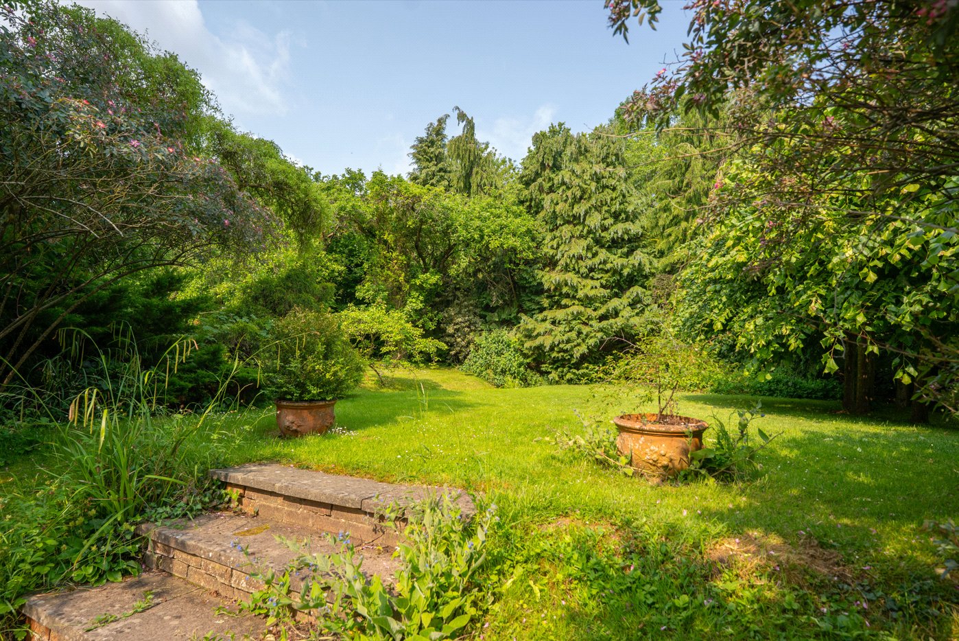 Lawns From Terrace